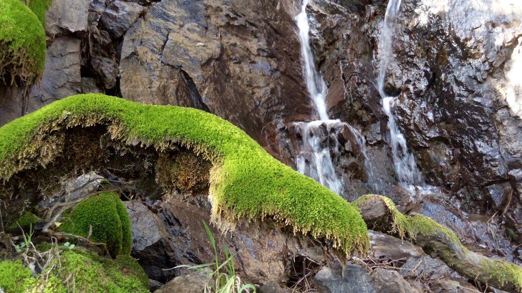 Ammonite Aventuras Del Maipo Βίλα San José de Maipo Εξωτερικό φωτογραφία